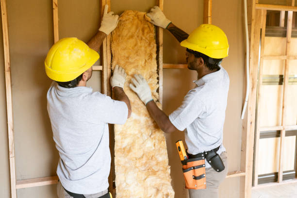 Best Professional Insulation Contractor  in Trainer, PA
