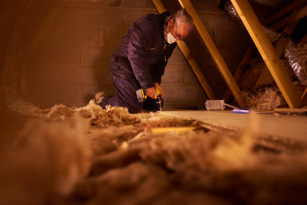 Best Local Insulation Services  in Trainer, PA